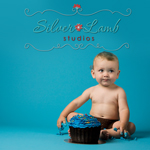 Sarah Funk: Silver Lamb Studios Silver Lamb Studios