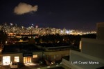 IMG_1638-1 Downtown Vancouver Skyline