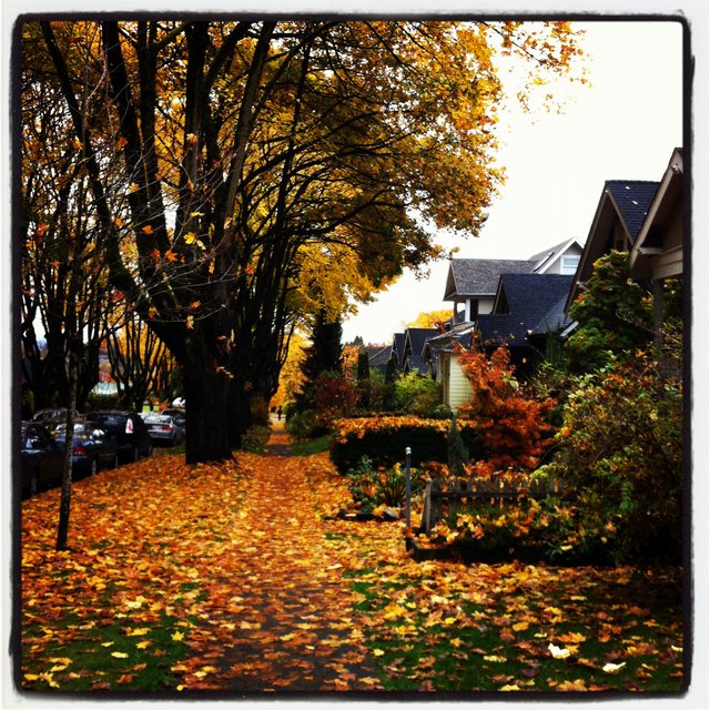 Fall in Douglas Park
